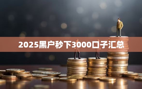 2025黑户秒下3000口子汇总