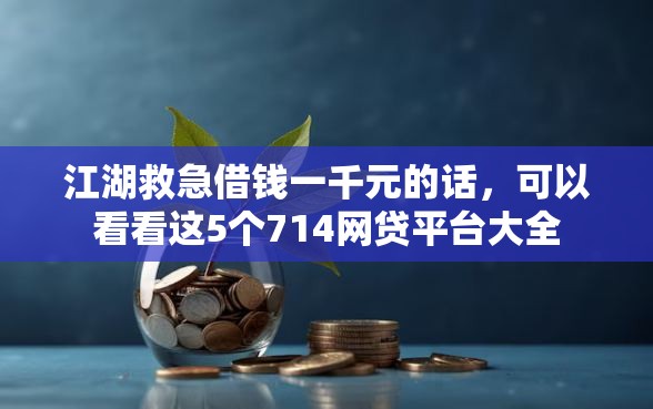 江湖救急借钱一千元的话，可以看看这5个714网贷平台大全