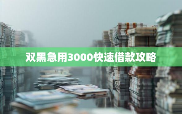 双黑急用3000快速借款攻略