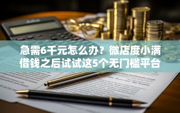急需6千元怎么办？微店度小满借钱之后试试这5个无门槛平台