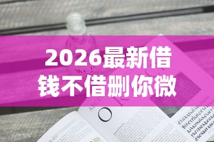 2026最新借钱不借删你微信的人，总结十个不看负债查询的口子！