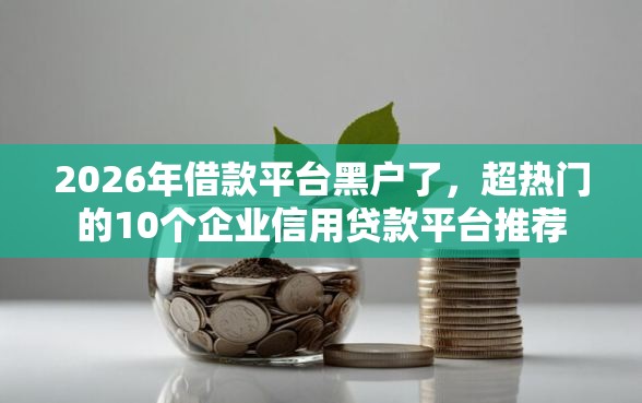 2026年借款平台黑户了，超热门的10个企业信用贷款平台推荐
