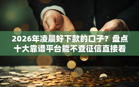 2026年凌晨好下款的口子？盘点十大靠谱平台能不查征信直接看出来借款额度