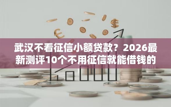 武汉不看征信小额贷款？2026最新测评10个不用征信就能借钱的平台