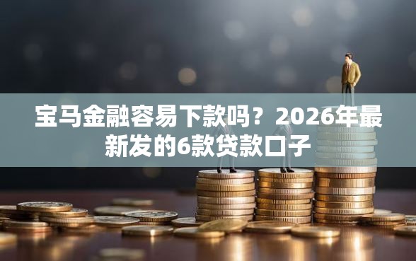 宝马金融容易下款吗？2026年最新发的6款贷款口子
