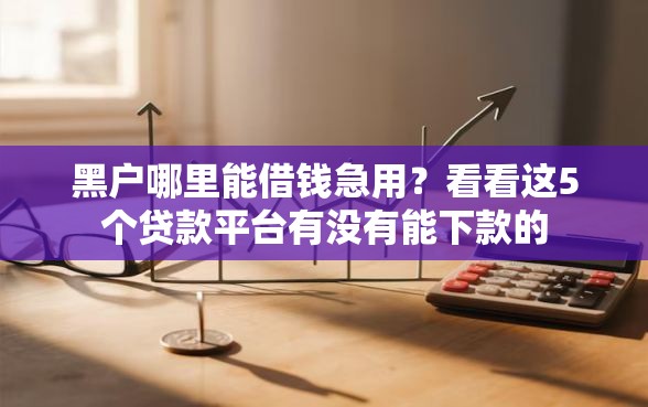 黑户哪里能借钱急用？看看这5个贷款平台有没有能下款的