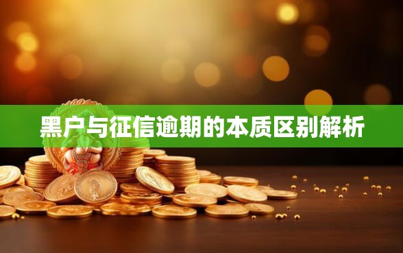 黑户与征信逾期的本质区别解析