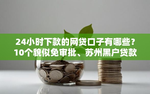 24小时下款的网贷口子有哪些？10个貌似免审批、苏州黑户贷款5万的平台合集