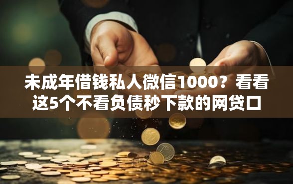 未成年借钱私人微信1000？看看这5个不看负债秒下款的网贷口子怎么样