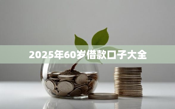 2025年60岁借款口子大全