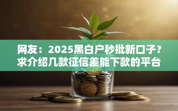 网友：2025黑白户秒批新口子？求介绍几款征信差能下款的平台