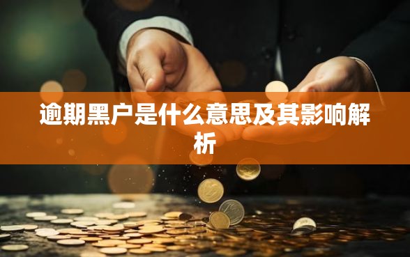 逾期黑户是什么意思及其影响解析