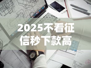 2025不看征信秒下款高额度网贷