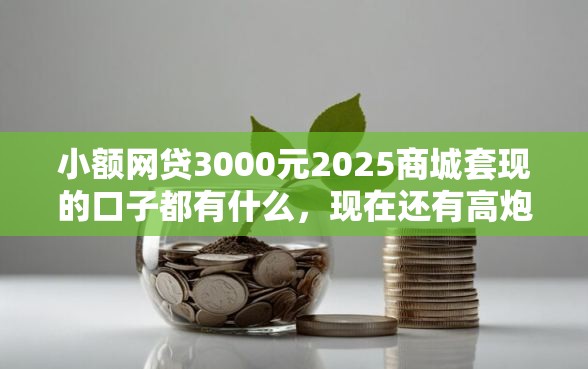 小额网贷3000元2025商城套现的口子都有什么，现在还有高炮的6个平台介绍