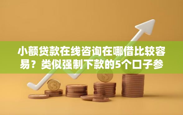 小额贷款在线咨询在哪借比较容易？类似强制下款的5个口子参考