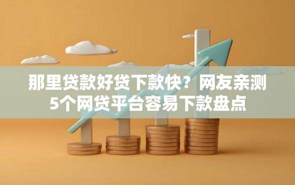 那里贷款好贷下款快？网友亲测5个网贷平台容易下款盘点