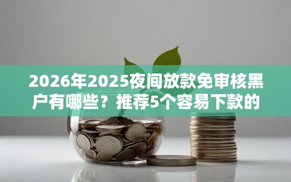 2026年2025夜间放款免审核黑户有哪些？推荐5个容易下款的平台