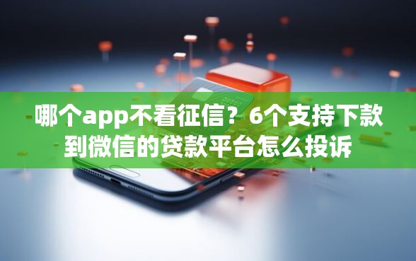 哪个app不看征信？6个支持下款到微信的贷款平台怎么投诉