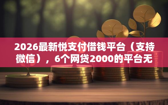 2026最新悦支付借钱平台（支持微信），6个网贷2000的平台无私分享