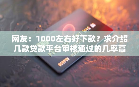 网友：1000左右好下款？求介绍几款贷款平台审核通过的几率高