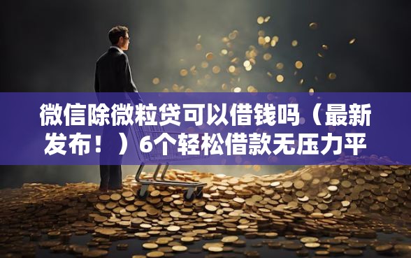 微信除微粒贷可以借钱吗（最新发布！）6个轻松借款无压力平台