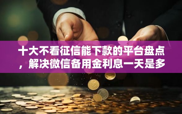 十大不看征信能下款的平台盘点，解决微信备用金利息一天是多少的问题