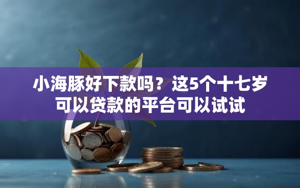 小海豚好下款吗?这5个十七岁可以贷款的平台可以试试 小海豚好下款吗?这5个十七岁可以贷款的平台可以试试