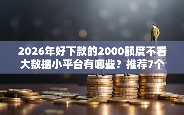 2026年好下款的2000额度不看大数据小平台有哪些？推荐7个容易下款的平台
