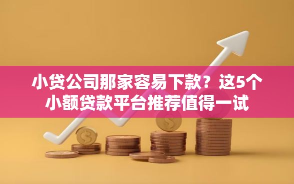 小贷公司那家容易下款？这5个小额贷款平台推荐值得一试