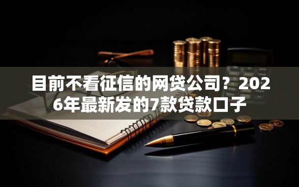 目前不看征信的网贷公司？2026年最新发的7款贷款口子