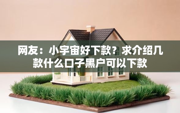 网友：小宇宙好下款？求介绍几款什么口子黑户可以下款