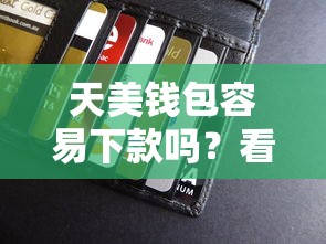 天美钱包容易下款吗？看看这6个贷款平台有没有能下款的