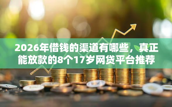 2026年借钱的渠道有哪些，真正能放款的8个17岁网贷平台推荐