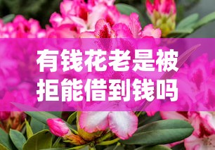 有钱花老是被拒能借到钱吗？7千元无门槛借款7个平台推荐