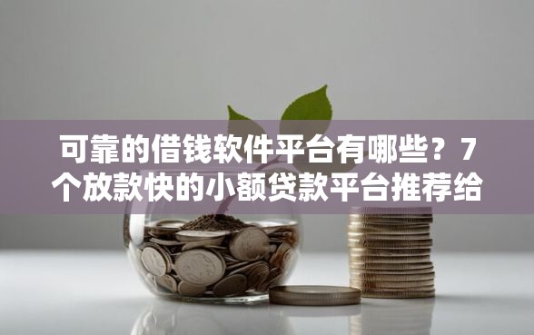 可靠的借钱软件平台有哪些？7个放款快的小额贷款平台推荐给你