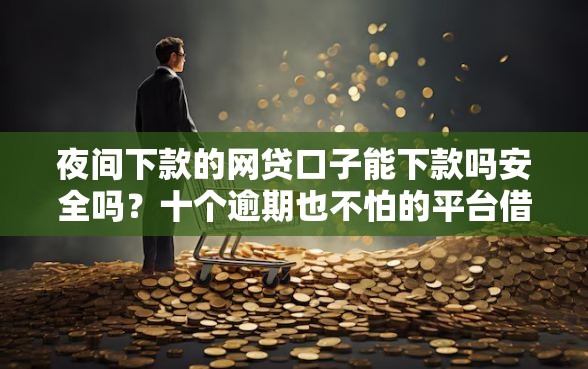 夜间下款的网贷口子能下款吗安全吗？十个逾期也不怕的平台借钱快