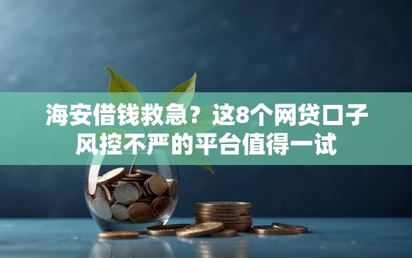 海安借钱救急？这8个网贷口子风控不严的平台值得一试