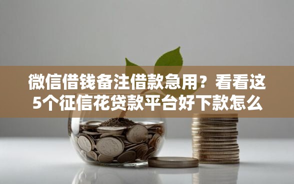 微信借钱备注借款急用？看看这5个征信花贷款平台好下款怎么样