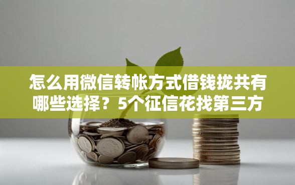 怎么用微信转帐方式借钱拢共有哪些选择？5个征信花找第三方担保贷款平台详解
