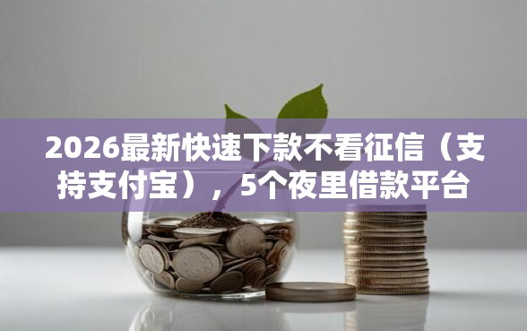 2026最新快速下款不看征信（支持支付宝），5个夜里借款平台好下款无私分享
