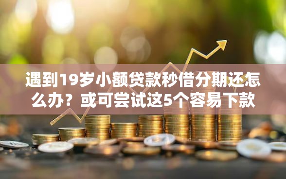 遇到19岁小额贷款秒借分期还怎么办？或可尝试这5个容易下款的平台
