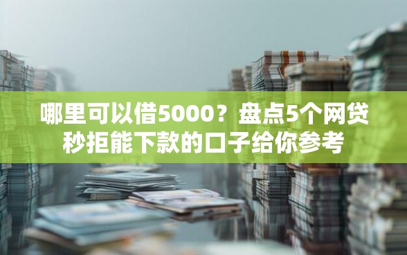 哪里可以借5000?盘点5个网贷秒拒能下款的口子给你参考 哪里可以借5000?盘点5个网贷秒拒能下款的口子给你参考