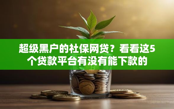 超级黑户的社保网贷？看看这5个贷款平台有没有能下款的