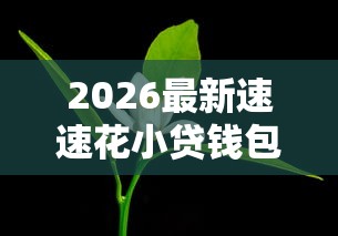2026最新速速花小贷钱包，总结十个比较靠谱的借钱平台！