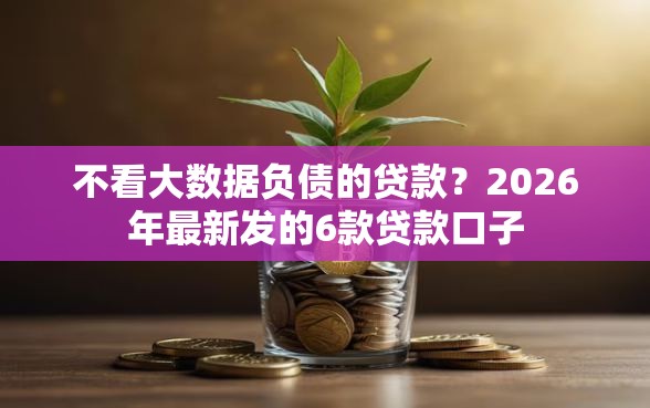 不看大数据负债的贷款？2026年最新发的6款贷款口子