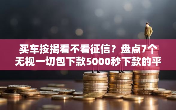买车按揭看不看征信？盘点7个无视一切包下款5000秒下款的平台给你参考
