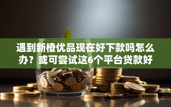 遇到新橙优品现在好下款吗怎么办？或可尝试这6个平台贷款好通过