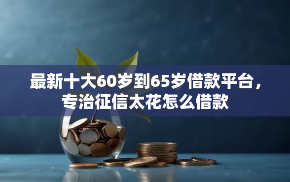 最新十大60岁到65岁借款平台，专治征信太花怎么借款