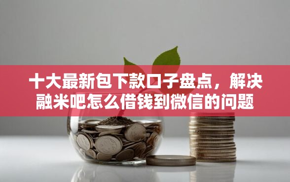 十大最新包下款口子盘点,解决融米吧怎么借钱到微信的问题 十大最新包下款口子盘点,解决融米吧怎么借钱到微信的问题