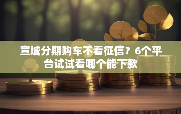 宣城分期购车不看征信？6个平台试试看哪个能下款